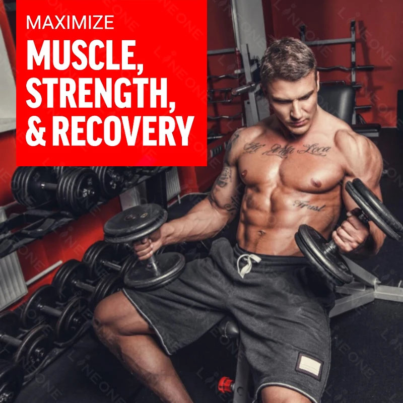 Sugar-Free Protein Powder
